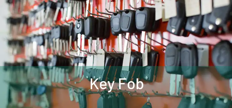  Key Fob 